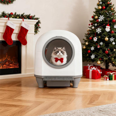 Self-Cleaning Litter Box