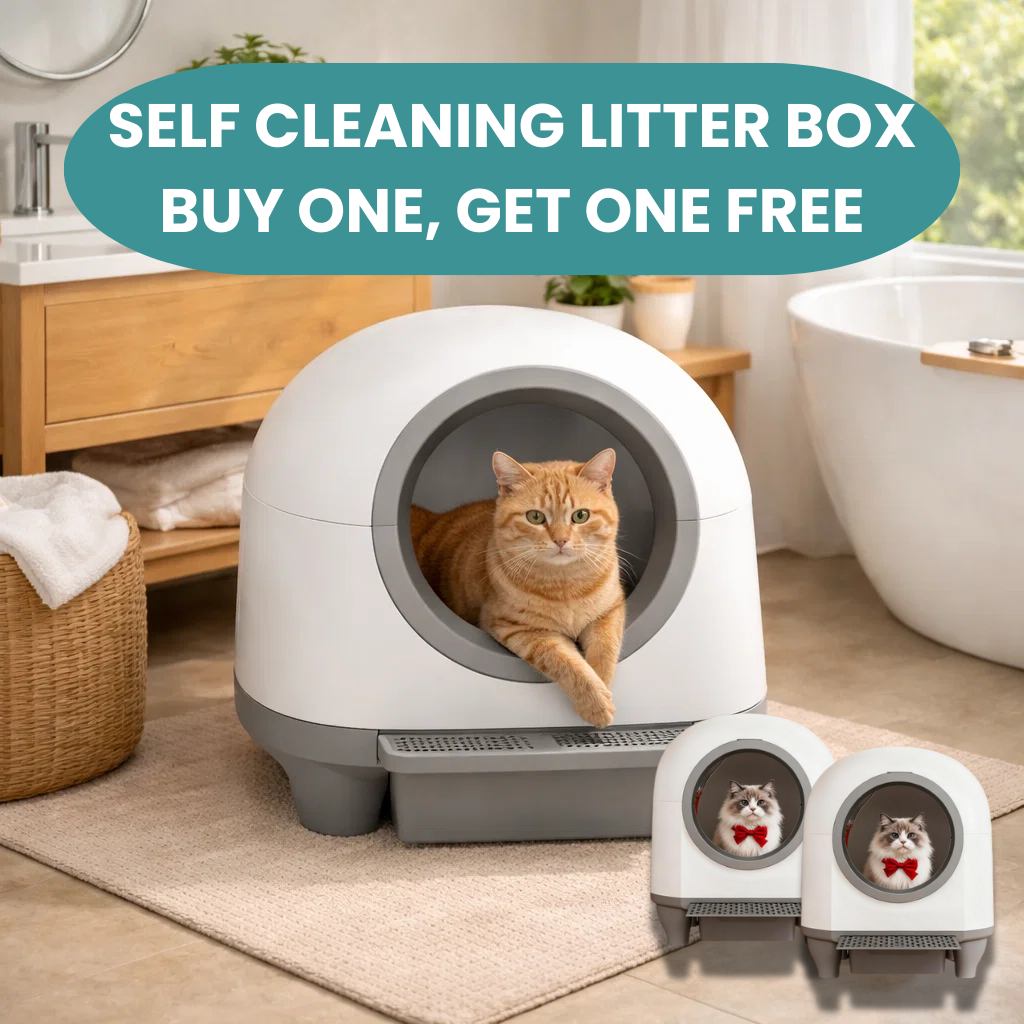 Self-Cleaning Litter Box