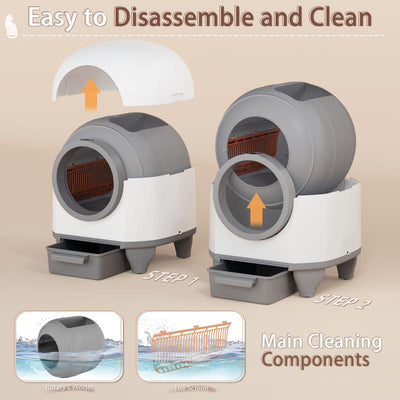 Self-Cleaning Litter Box